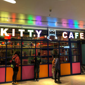 Opening Day At The Kitty Cafe Birmingham!