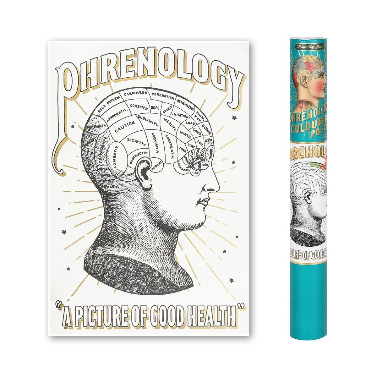 A picture of good health! People will love studying the pseudoscience of phrenology with this gorgeous colour-in poster, now available as a gift bundle with our Creativity candle!